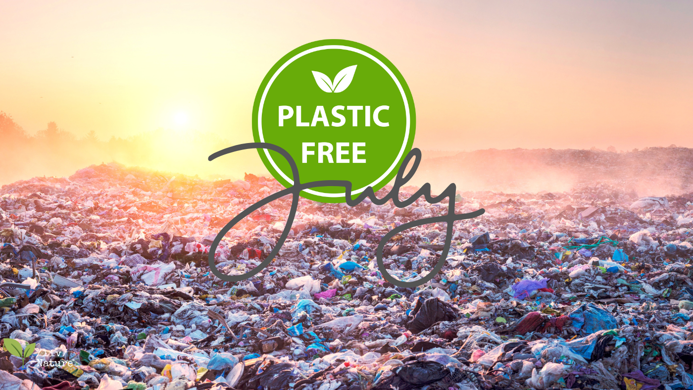 Plastic Free July and Beyond: Make Plastic-Free Living a Lifestyle