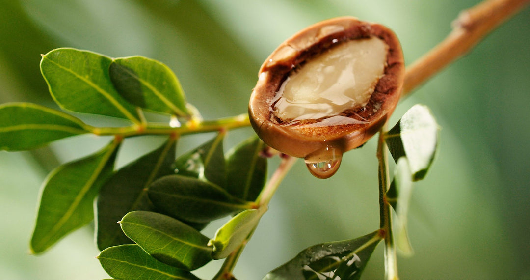 The Magical Benefits of Argan Oil