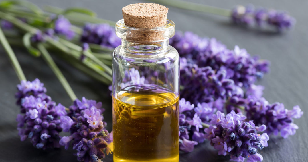 What’s not to LOVE in Lavender Oil