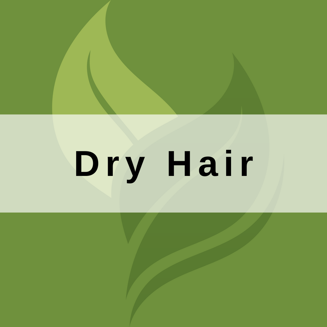 Hydration for Dry Hair