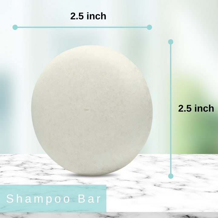 /liv/ Nature Shampoo Bar Peppermint | Clarifying for Normal to Oily Hair | 100% Plant Based Natural Ingredients | Made in USA (1-pack)