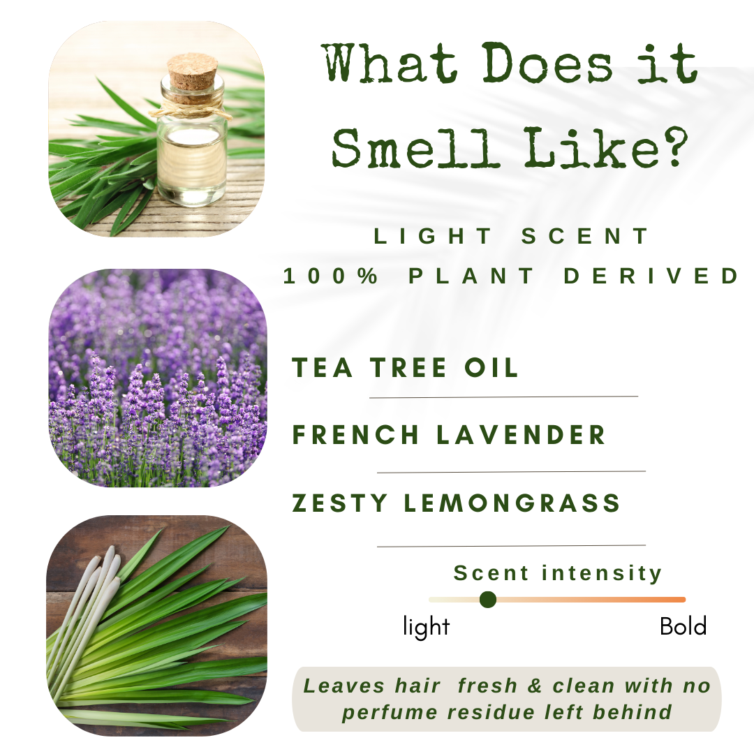 lavender tea tree oil uses liv/ Nature Shampoo Bar & Conditioner W/ Travel Case 100% Oganic essential oil scented (Tea Tree, Lemongrass & Lavender for Oily