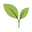 /liv/ Nature Shopify logo